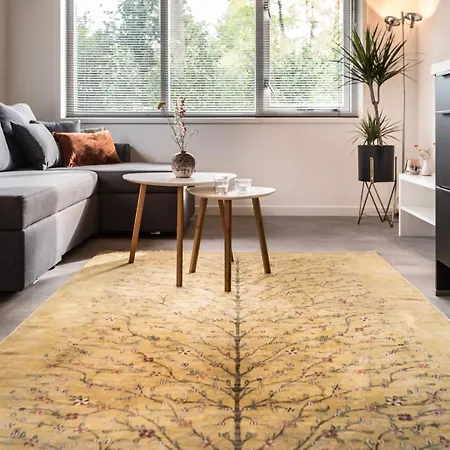 Boutique Appartement-hotel Juttershof Bergen
