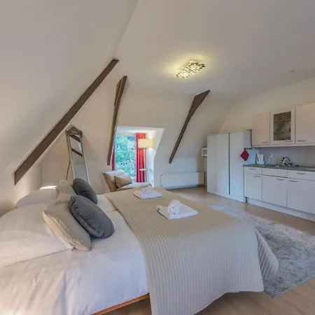 公寓 Boutique Appartement-hotel Juttershof