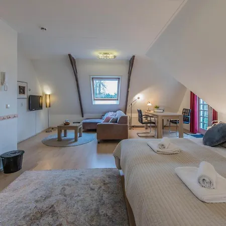 アパート Boutique Appartement-hotel Juttershof *