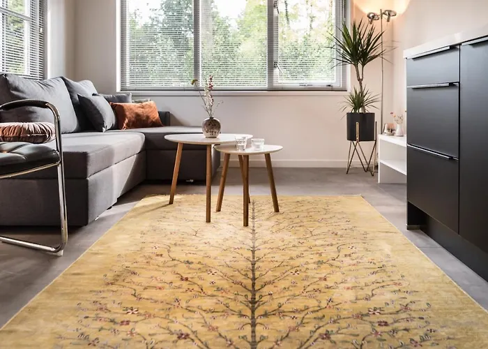 Boutique Appartement-hotel Juttershof Bergen