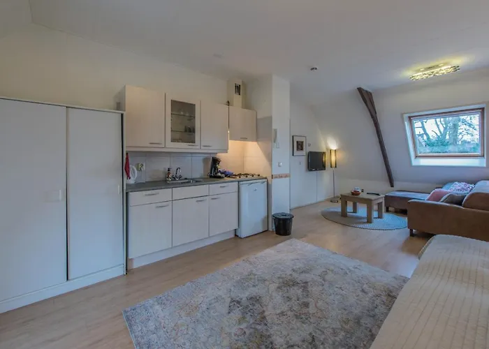 Apartment Boutique Appartement-hotel Juttershof Bergen